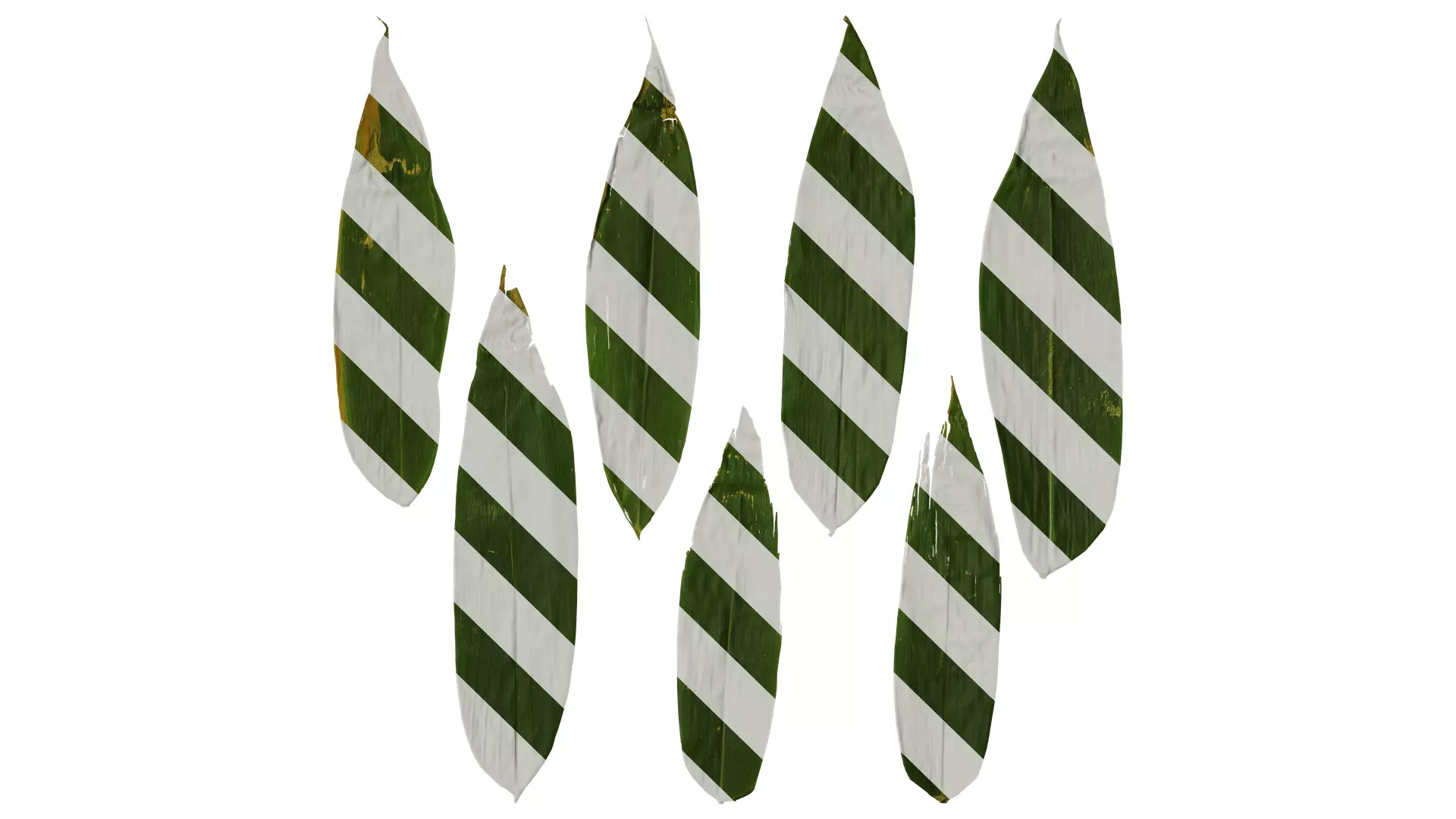 Anydrafts Indocalamus tessellatus Leaf 05 Texture_0