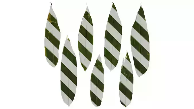 Anydrafts Indocalamus tessellatus Leaf 05