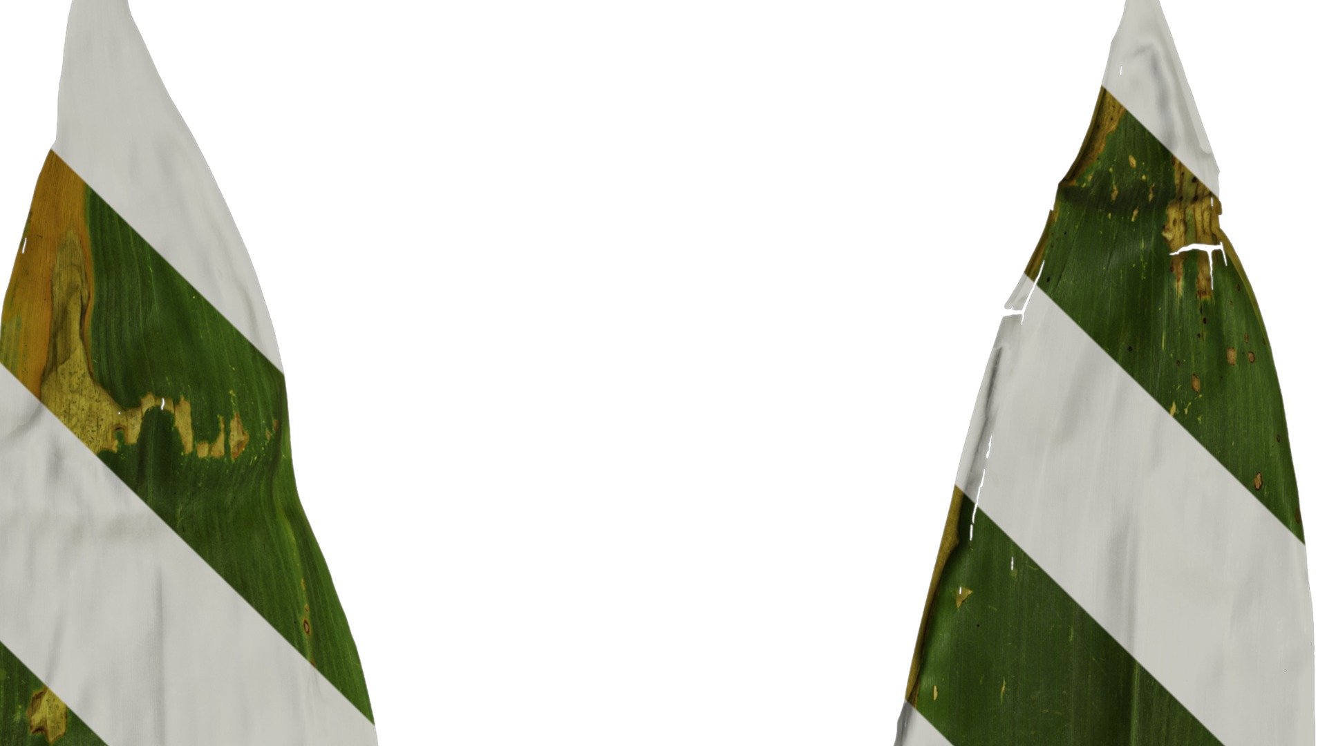 Anydrafts Indocalamus tessellatus Leaf 05 Texture_1