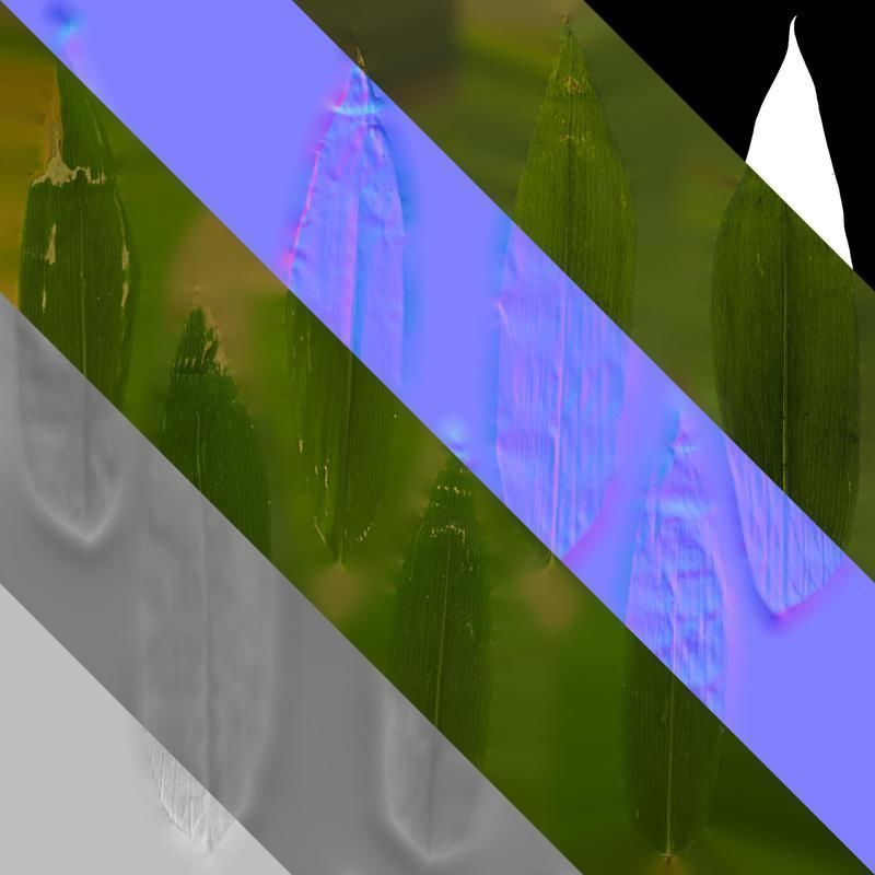 Anydrafts Indocalamus tessellatus Leaf 05 Texture_8