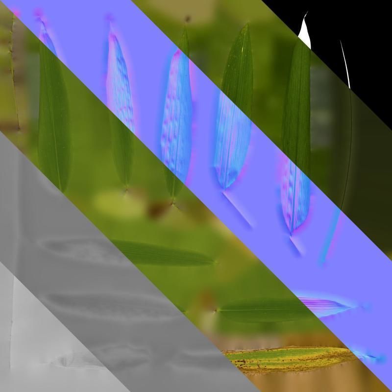 Anydrafts Indocalamus tessellatus Leaf 07 Texture_8