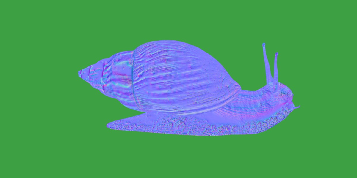 Giant African Land Snail Low-poly 3D model_17