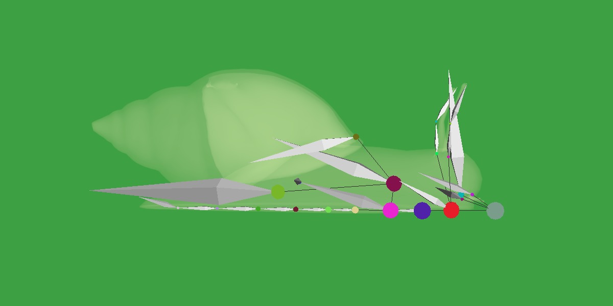 Giant African Land Snail Low-poly 3D model_35