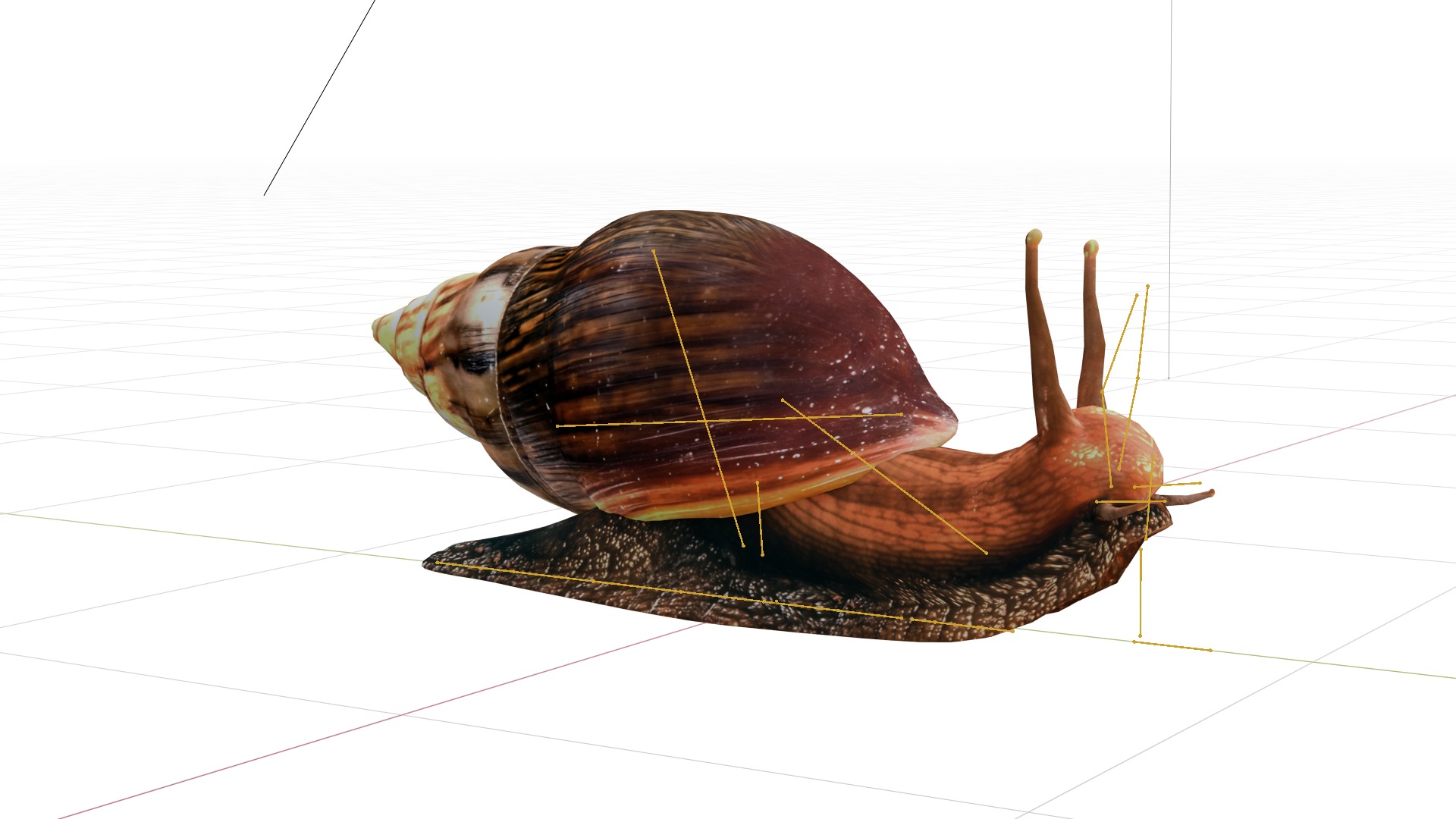 Giant African Land Snail Low-poly 3D model_7