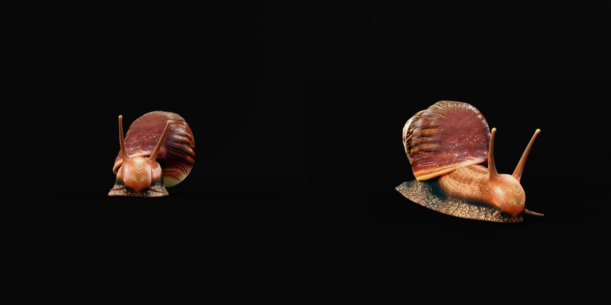 Giant African Land Snail Low-poly 3D model_16