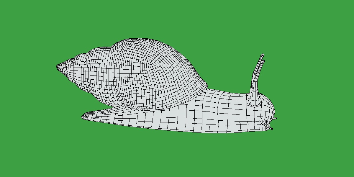 Giant African Land Snail Low-poly 3D model_22