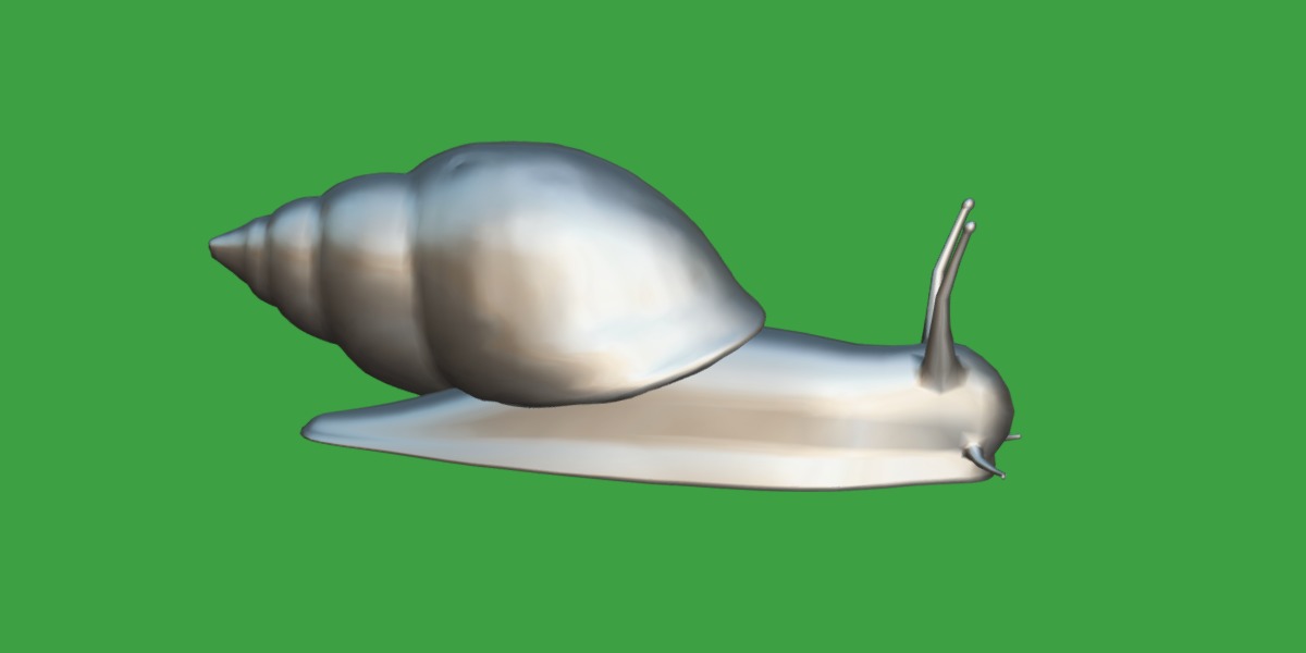 Giant African Land Snail Low-poly 3D model_20