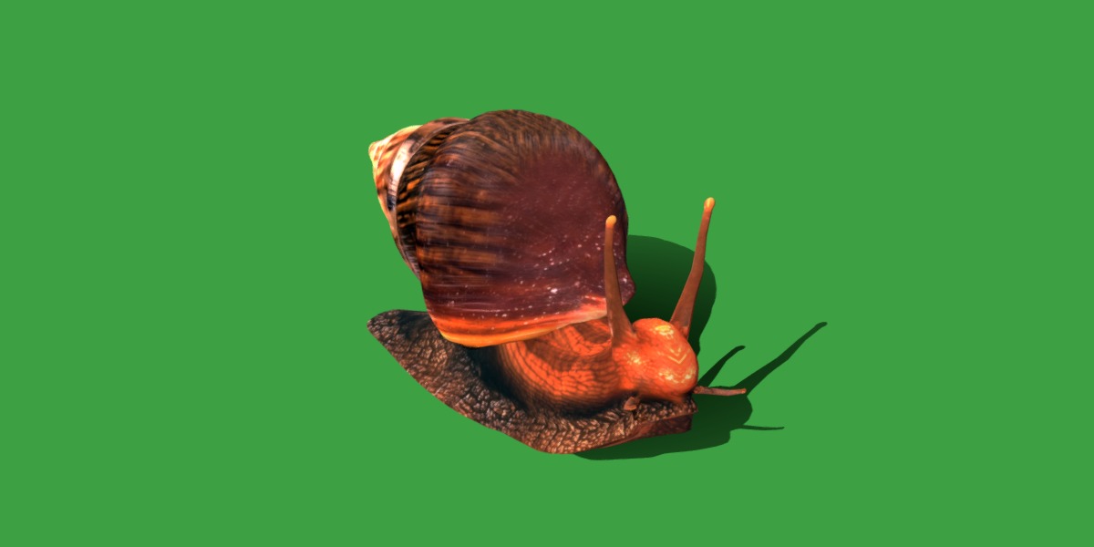 Giant African Land Snail Low-poly 3D model_15