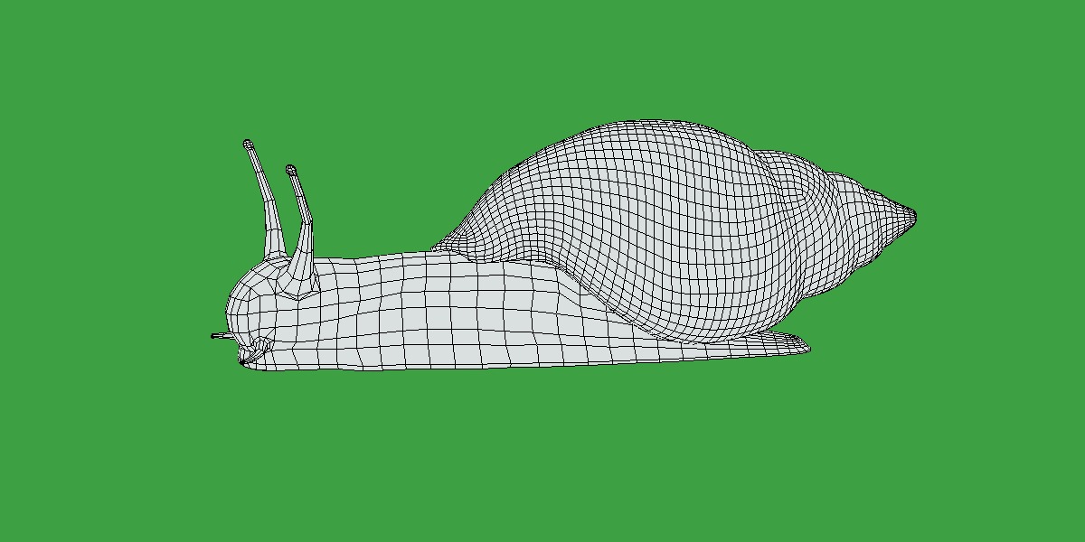 Giant African Land Snail Low-poly 3D model_23