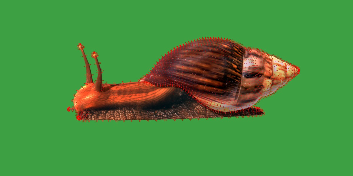 Giant African Land Snail Low-poly 3D model_25