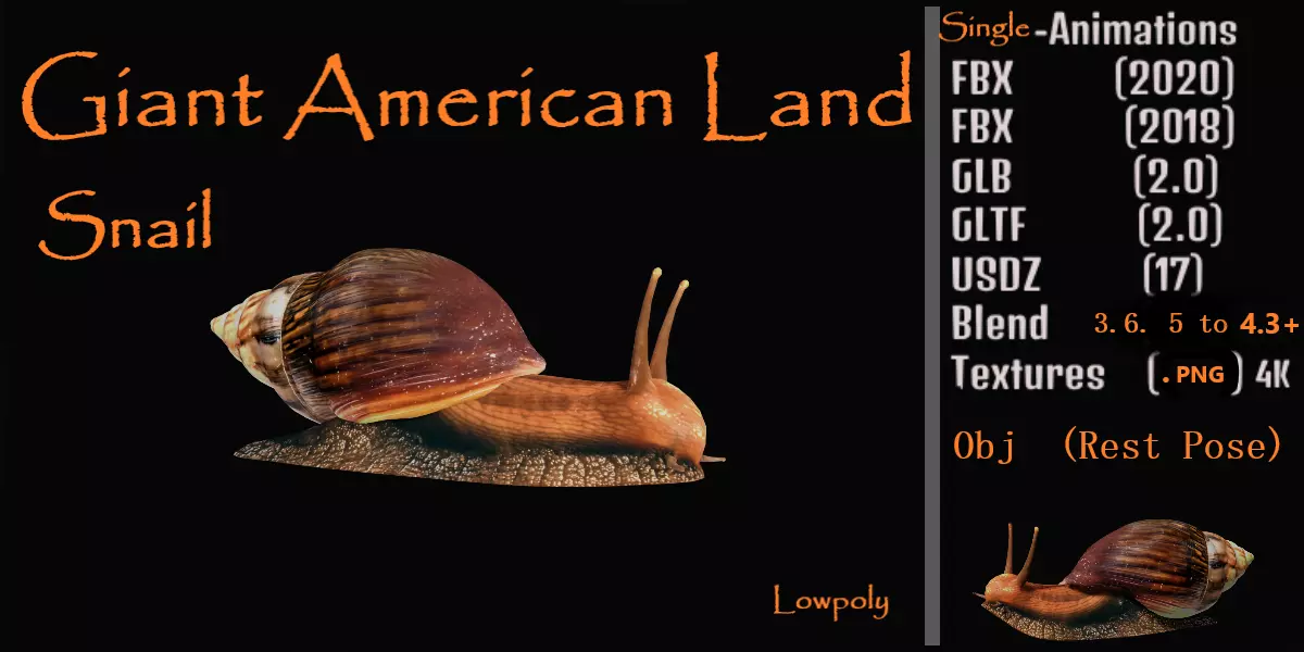 Giant African Land Snail Low-poly 3D model_0