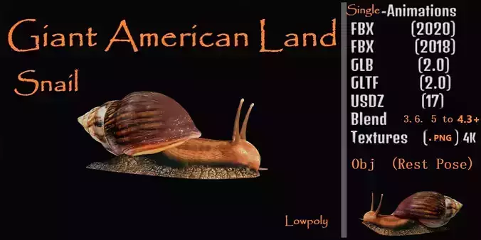 Giant African Land Snail Low-poly 3D model