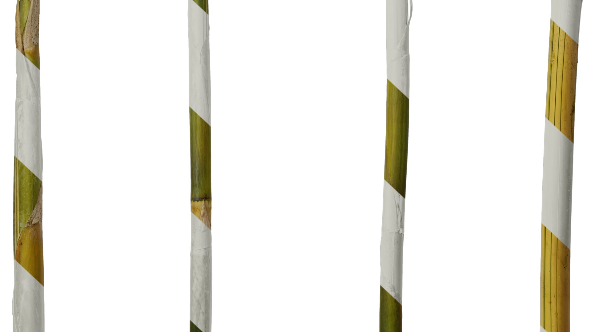 Anydrafts Phyllostachys aureosulcata spectabilis Stick 01 Texture_7