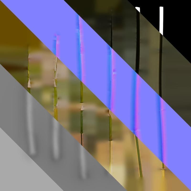 Anydrafts Phyllostachys aureosulcata spectabilis Stick 01 Texture_8