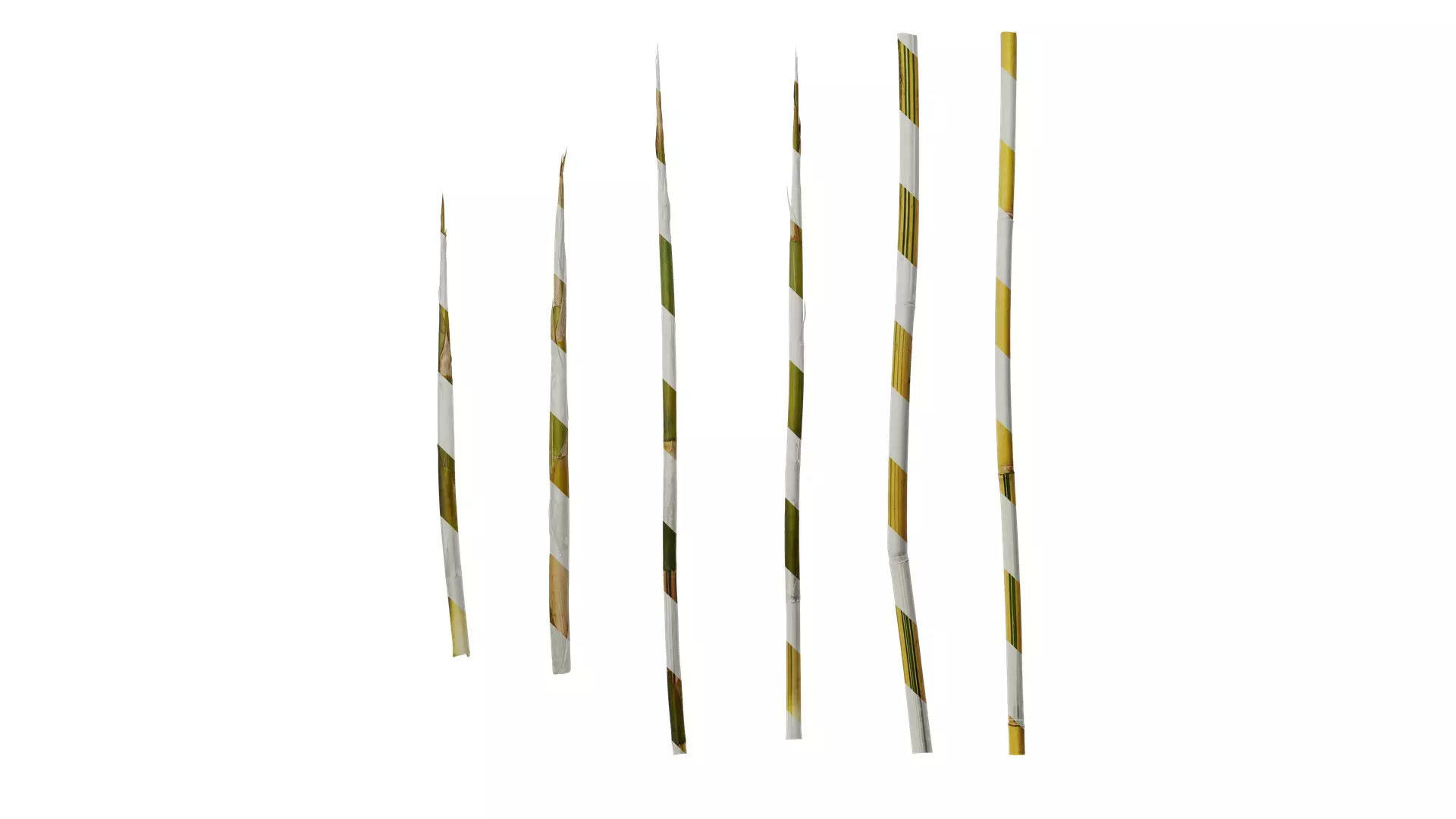 Anydrafts Phyllostachys aureosulcata spectabilis Stick 01 Texture_0