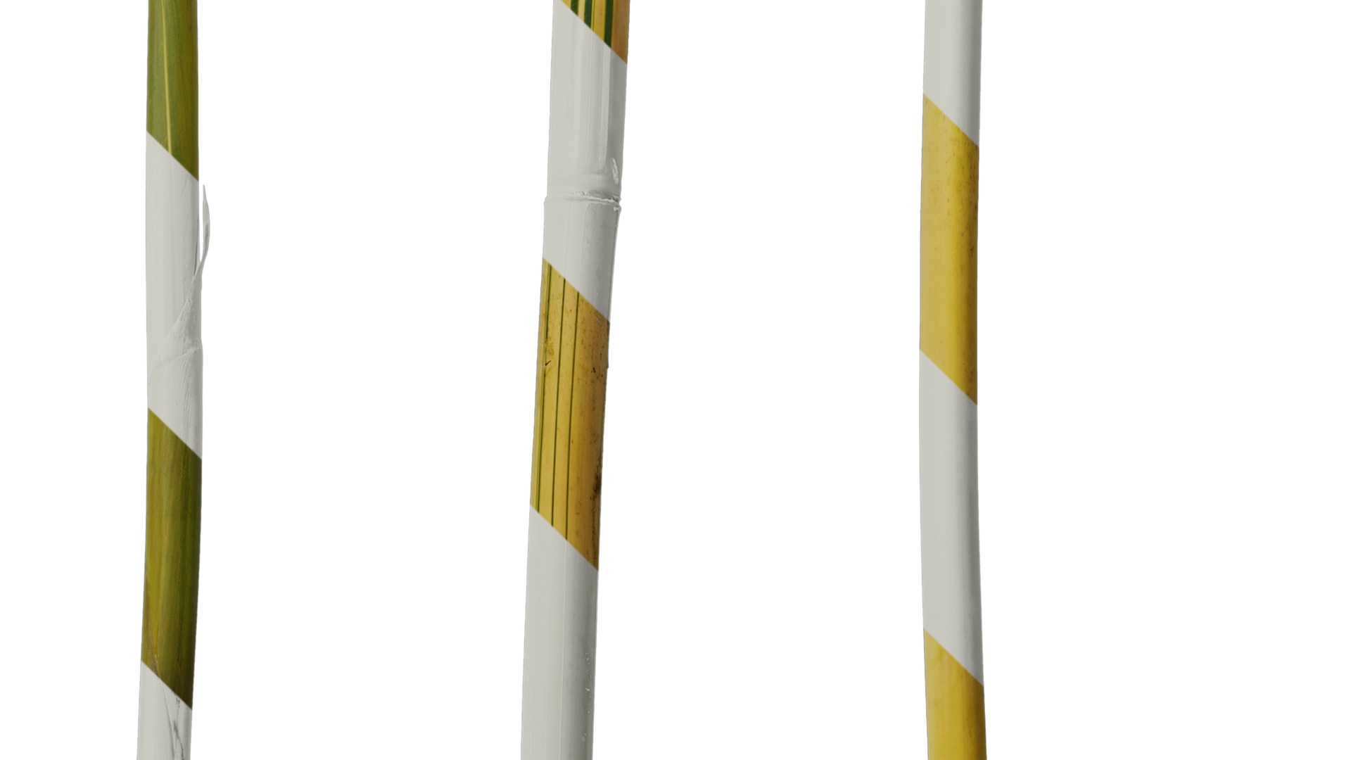 Anydrafts Phyllostachys aureosulcata spectabilis Stick 01 Texture_4