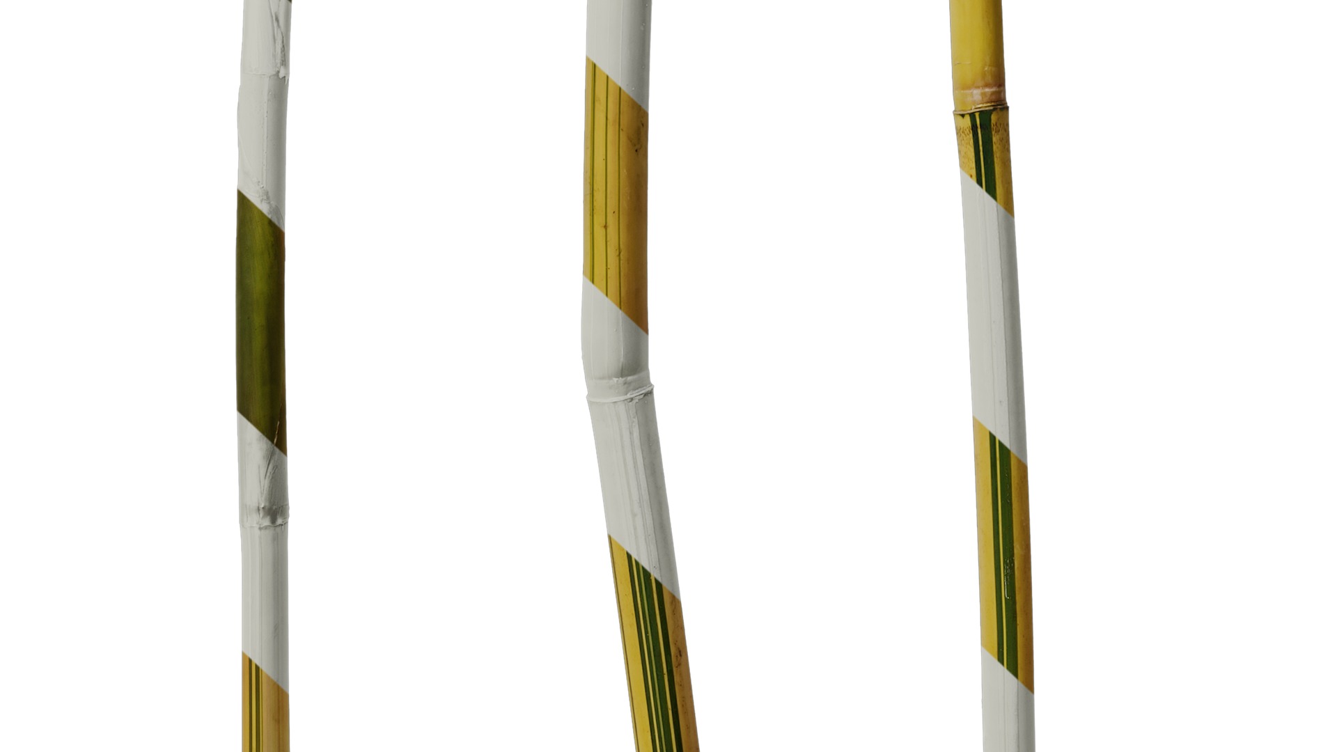 Anydrafts Phyllostachys aureosulcata spectabilis Stick 01 Texture_6