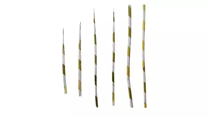 Anydrafts Phyllostachys aureosulcata spectabilis Stick 01