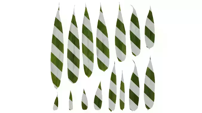 Anydrafts Phyllostachys bambusoides Leaf 02