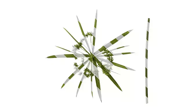 Anydrafts Phyllostachys heteroclada Atlas 07