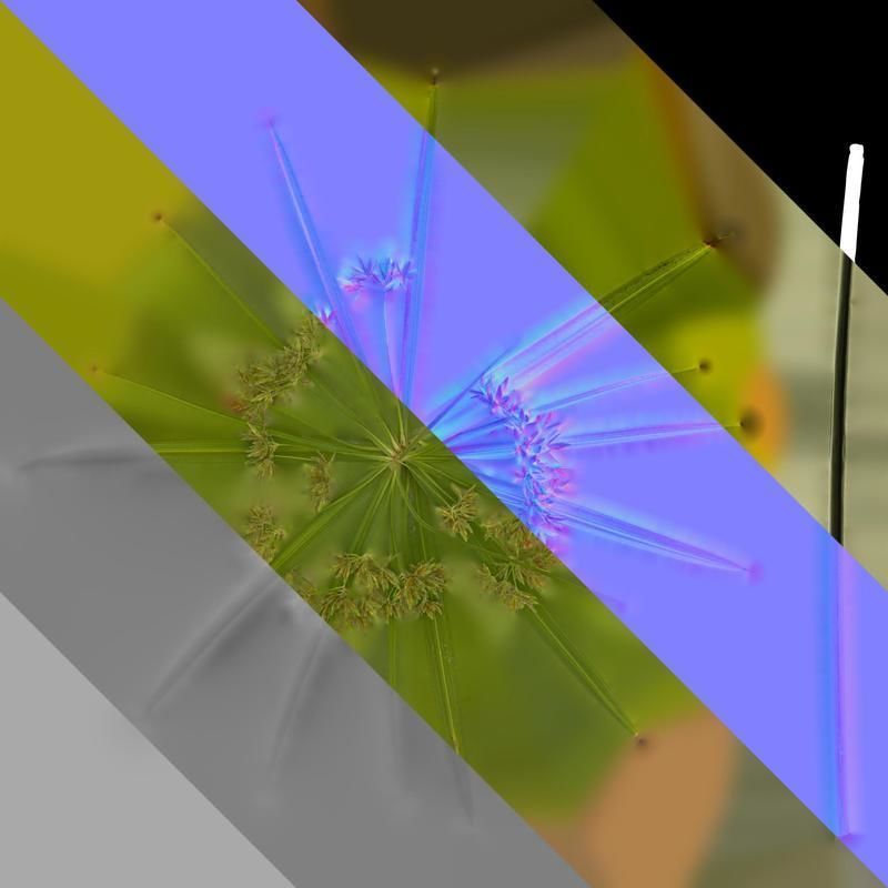 Anydrafts Phyllostachys heteroclada Atlas 07 Texture_8