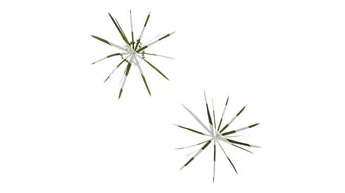 Anydrafts Phyllostachys heteroclada Atlas 10