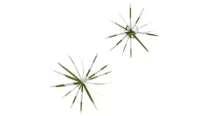 Anydrafts Phyllostachys heteroclada Atlas 13