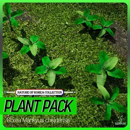 Korean Endemic Species Plant - 4 Korean Mankyua chejuensis Bush Low-poly 3D model