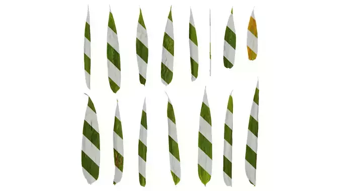 Anydrafts Phyllostachys parvifolia Leaf 01