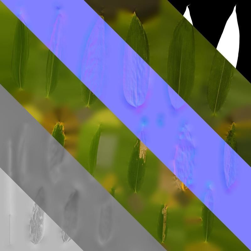 Anydrafts Sasa pygmaea Leaf 01 Texture_8