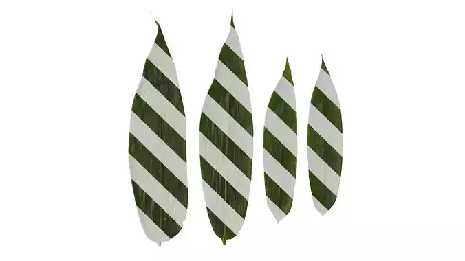 Anydrafts Sasa pygmaea Leaf 02