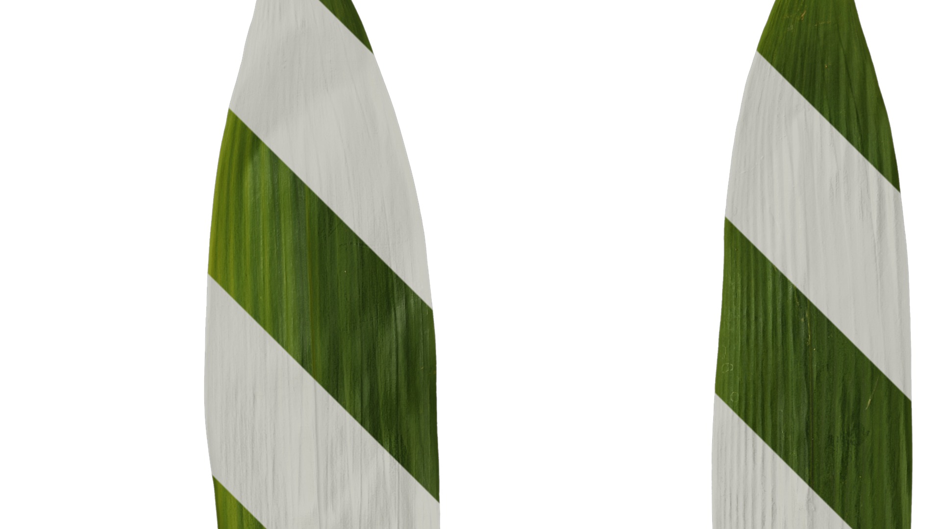 Anydrafts Sasa pygmaea Leaf 04 Texture_2