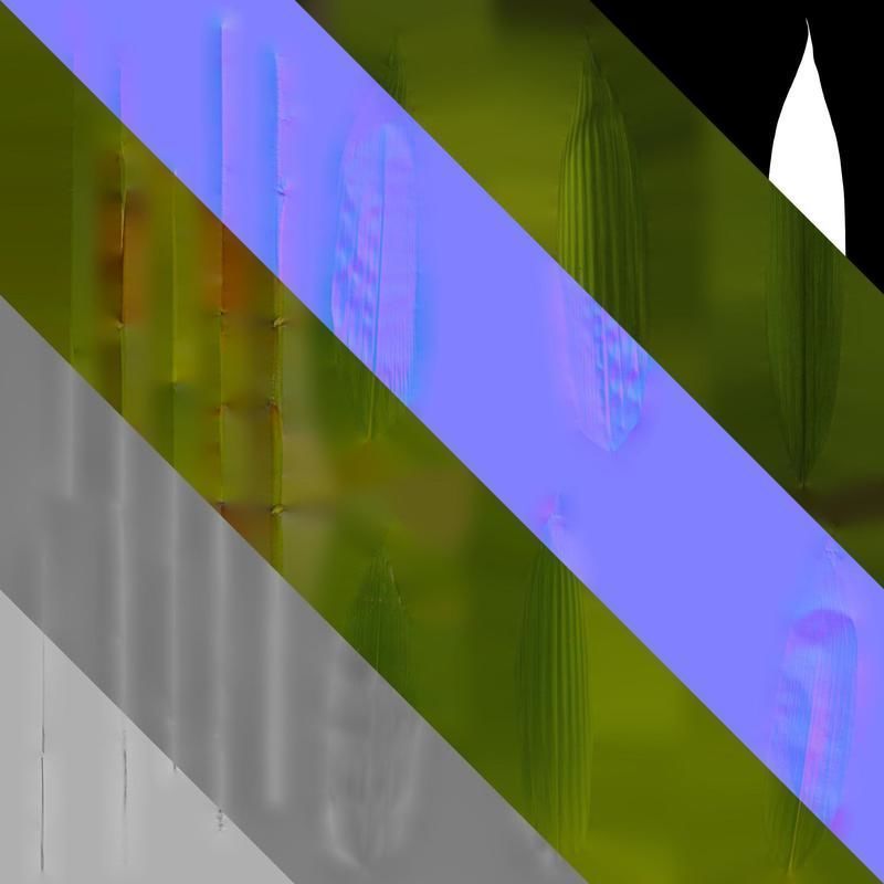 Anydrafts Sasa pygmaea Leaf 04 Texture_8