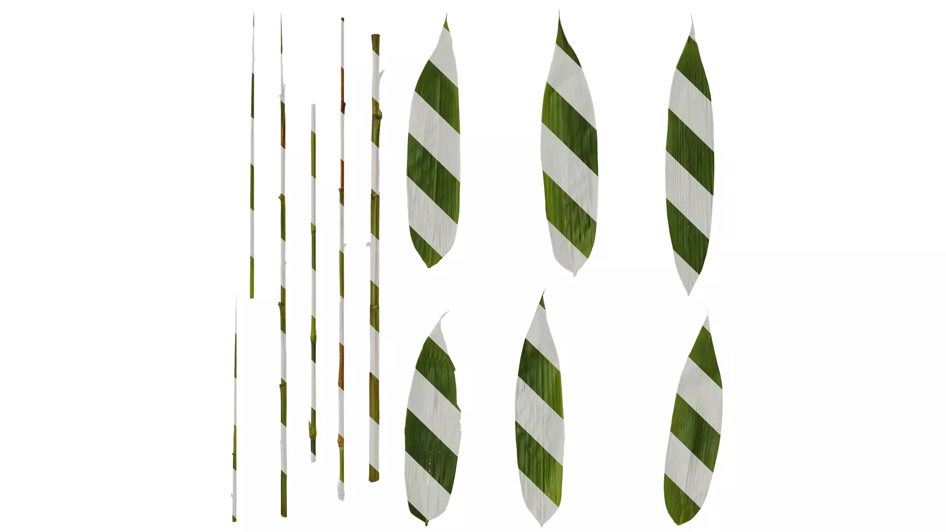 Anydrafts Sasa pygmaea Leaf 04 Texture_0