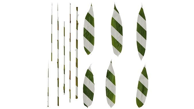 Anydrafts Sasa pygmaea Leaf 04 Texture