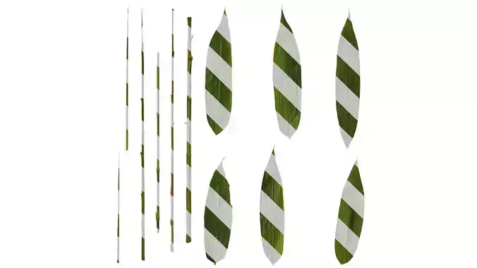 Anydrafts Sasa pygmaea Leaf 04