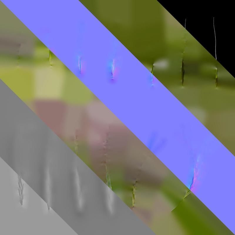 Anydrafts Avena sativa Fruit 02 Texture_8