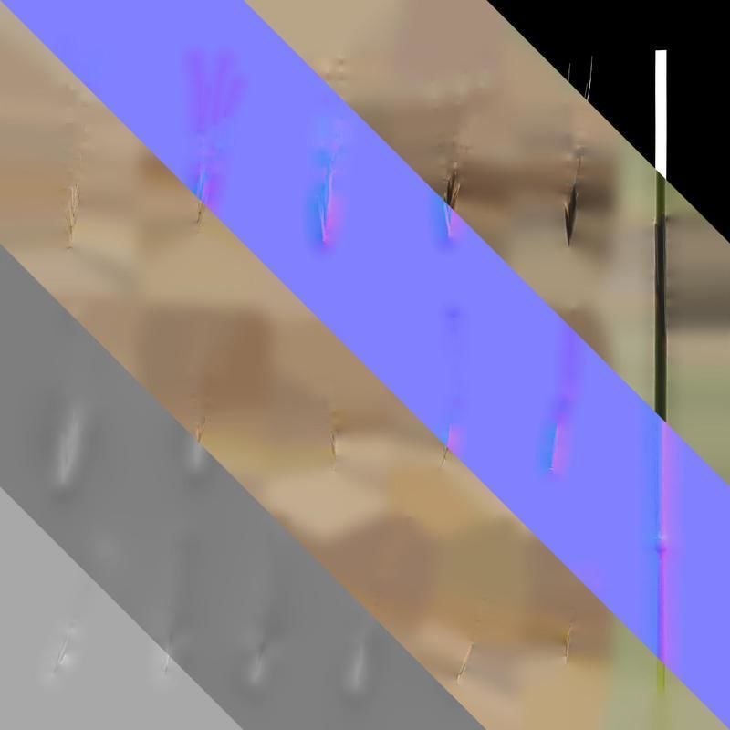 Anydrafts Avena sativa Fruit 04 Texture_8