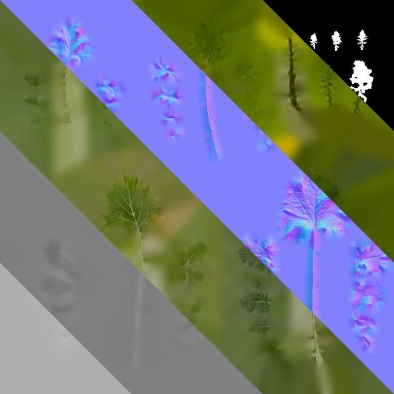 Anydrafts Brassica napus Atlas 05 Texture_8