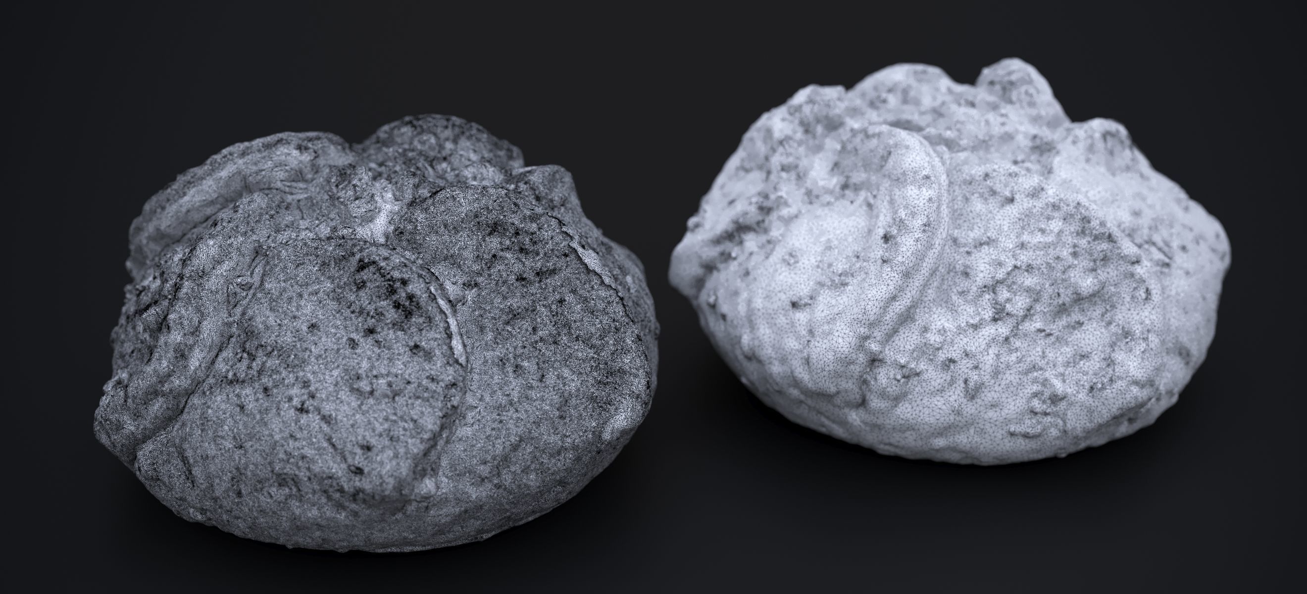 APPLE BLOSSON TART 2024 3D model_10