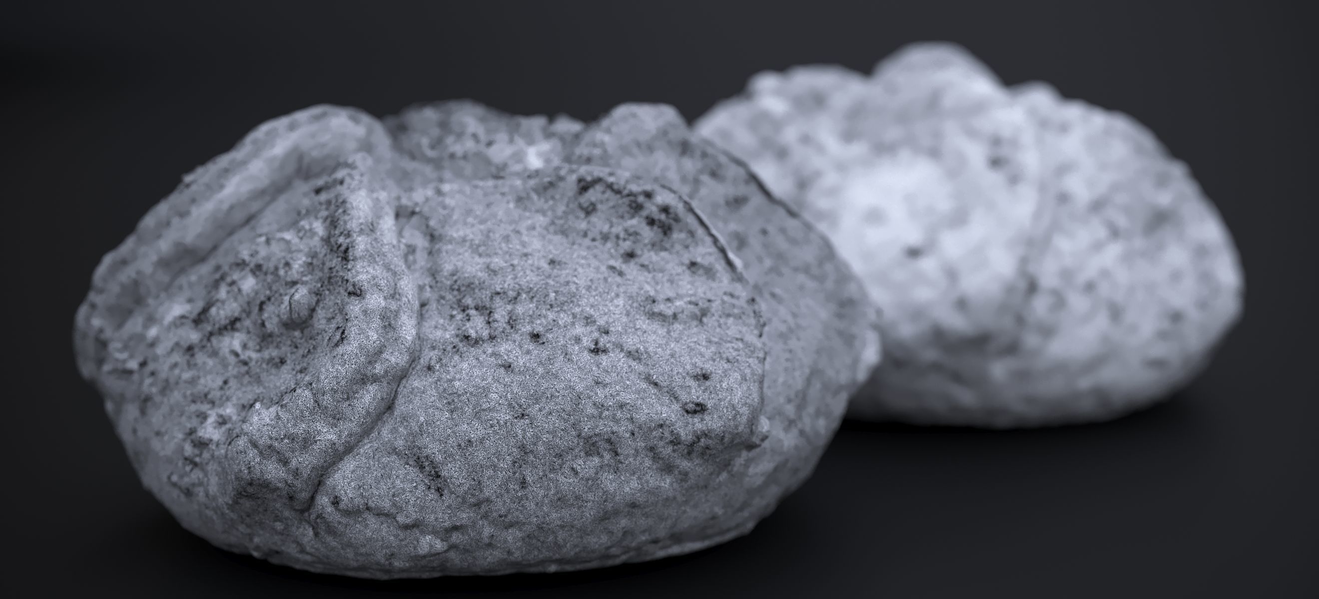 APPLE BLOSSON TART 2024 3D model_16