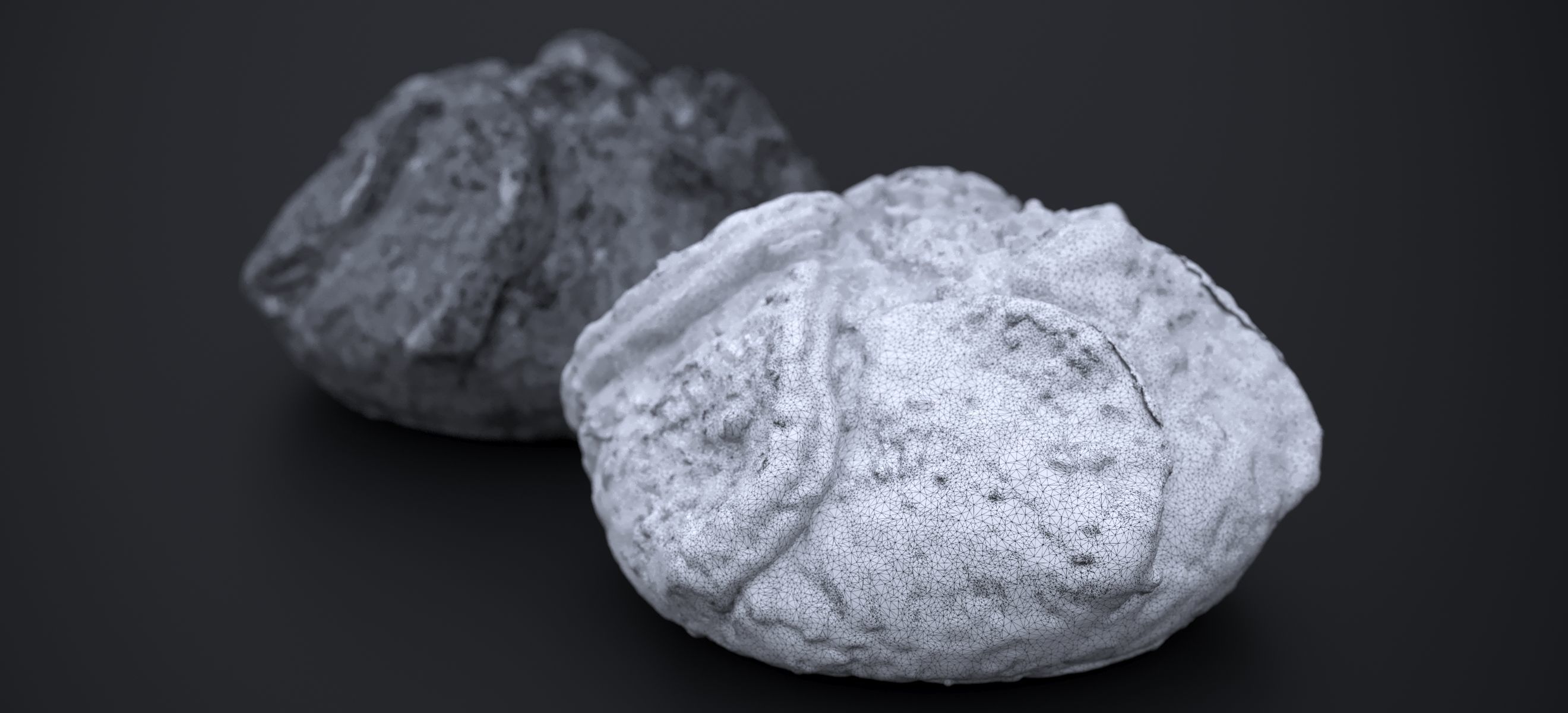 APPLE BLOSSON TART 2024 3D model_13