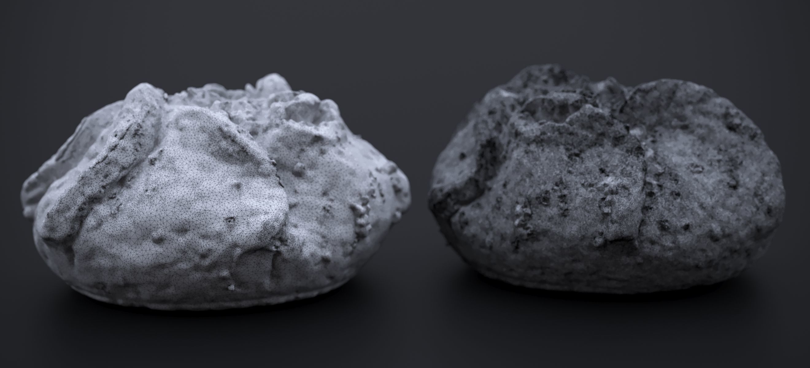 APPLE BLOSSON TART 2024 3D model_15