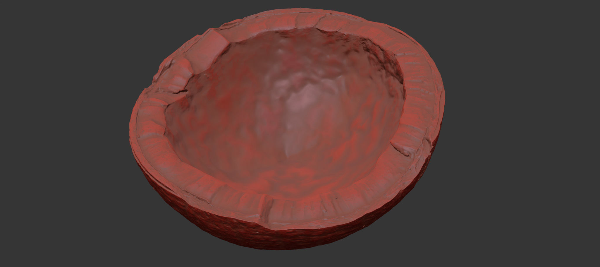 Coconut 3D model_7