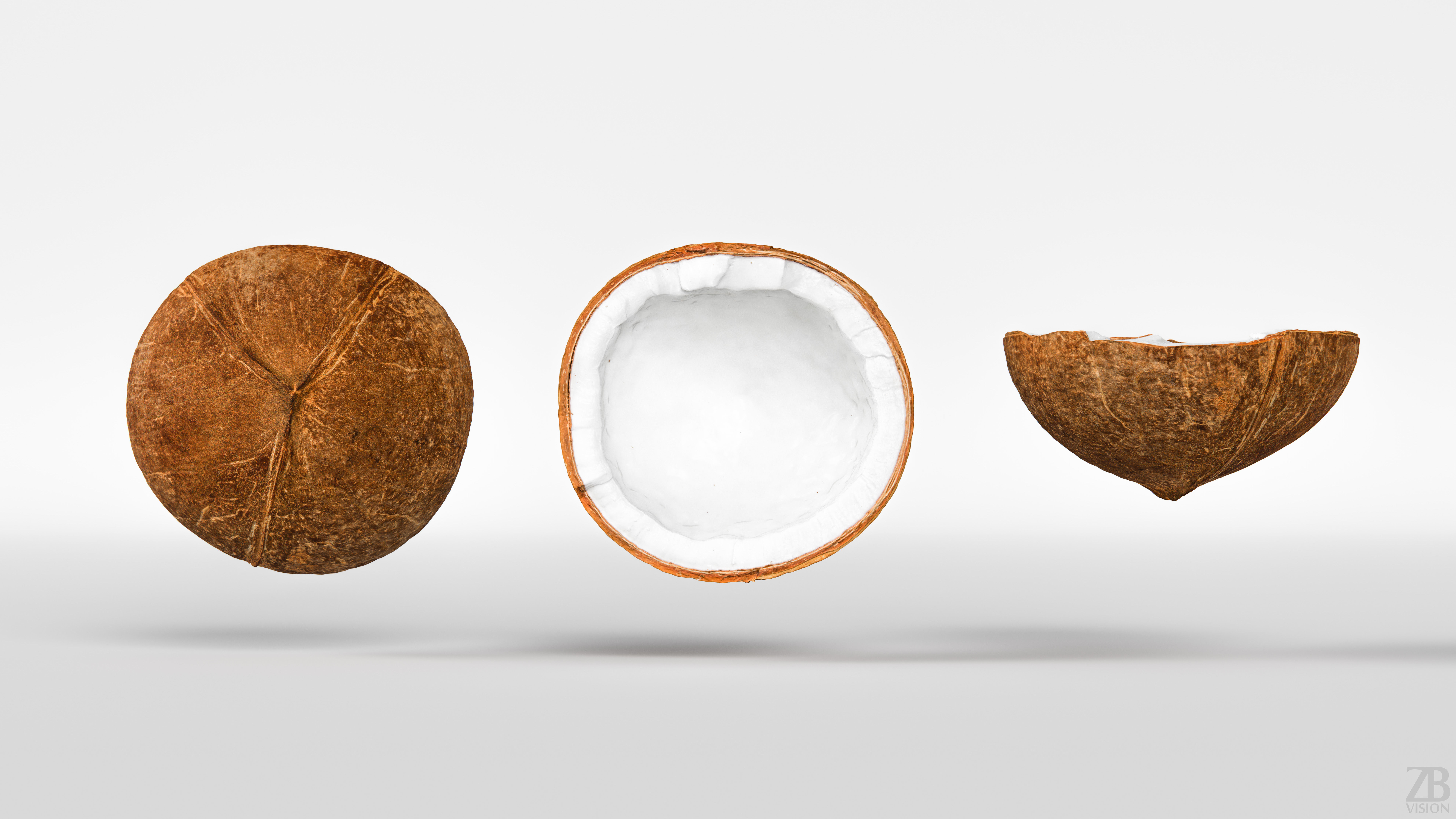 Coconut 3D model_4