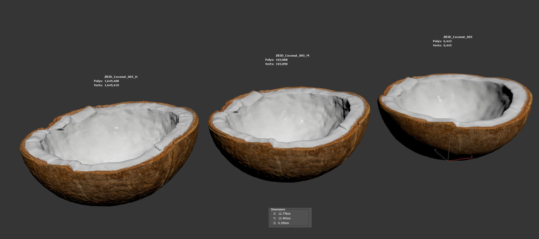 Coconut 3D model_5