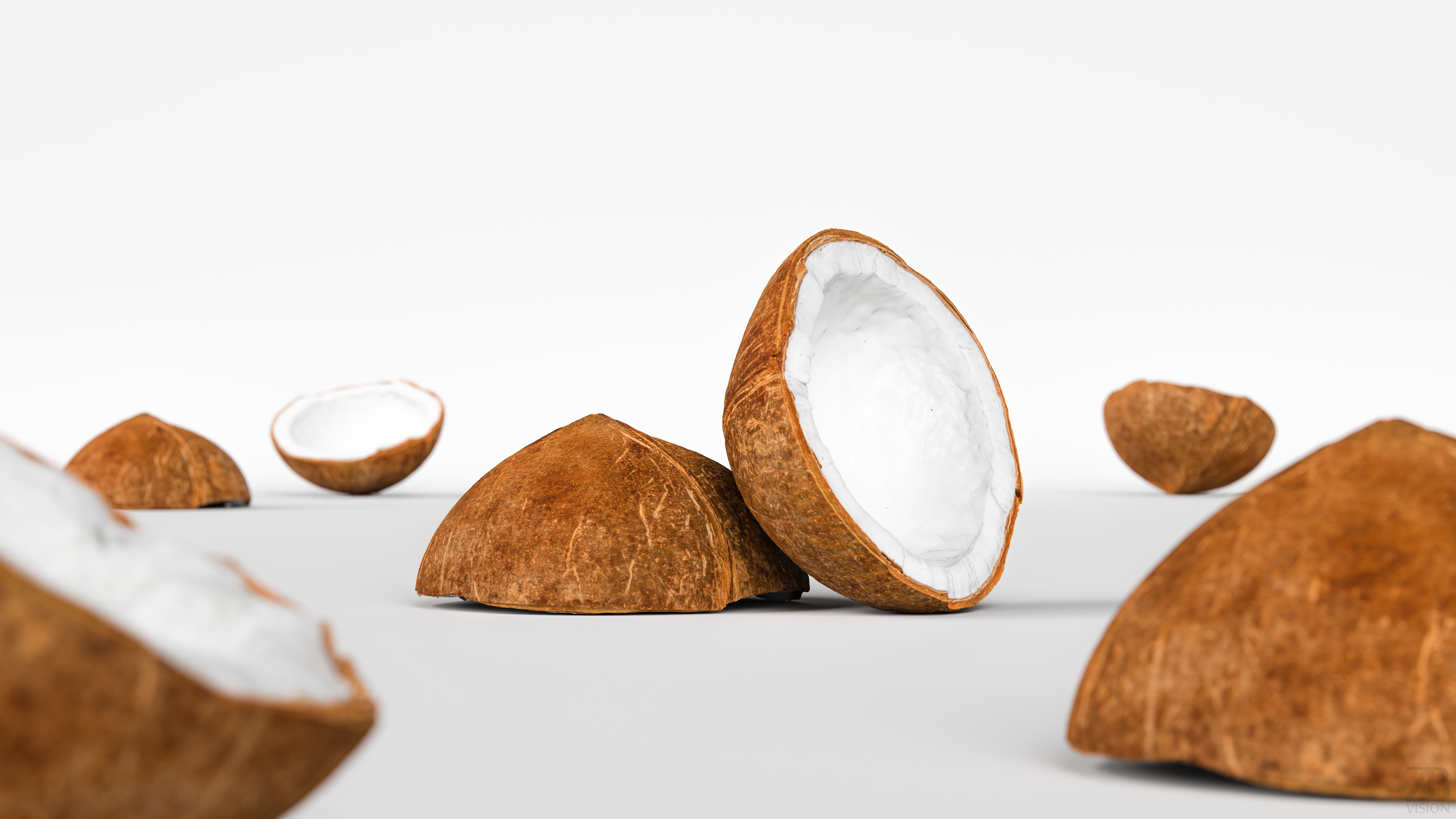 Coconut 3D model_1