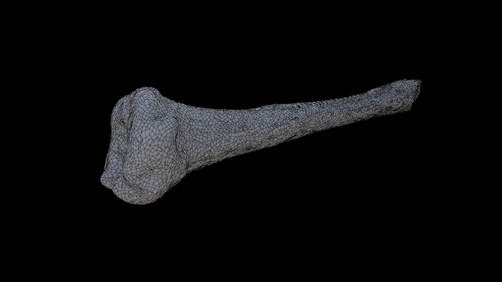 Bone 3D model_5