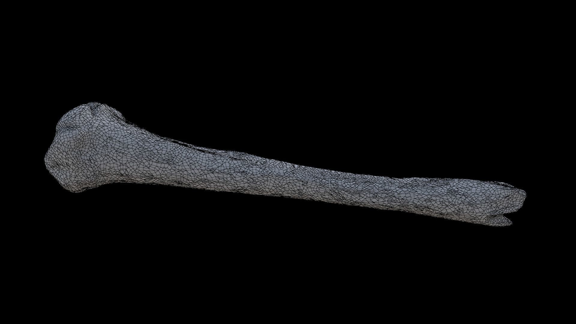 Bone 2 3D model_6