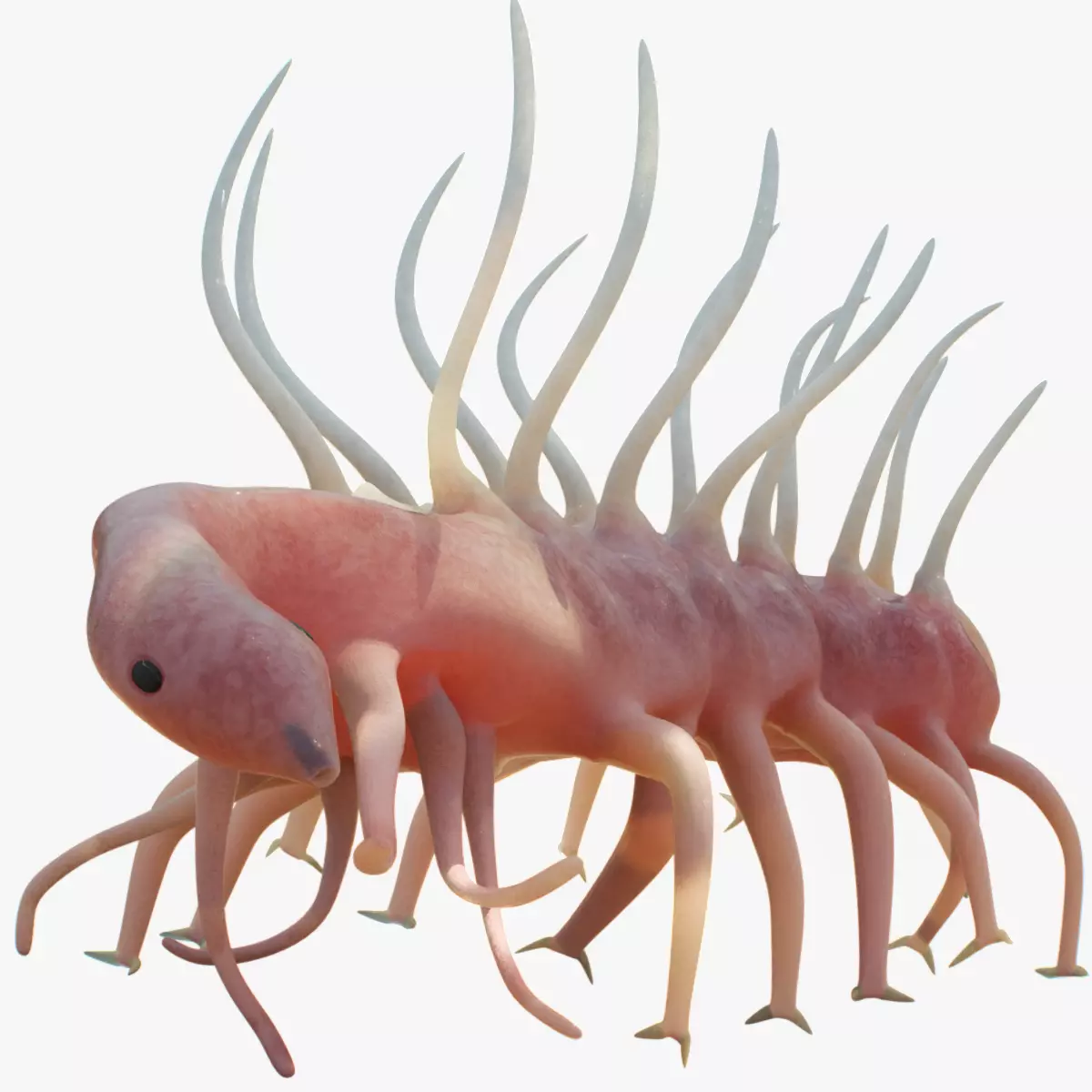 Hallucigenia Low-poly 3D model_0